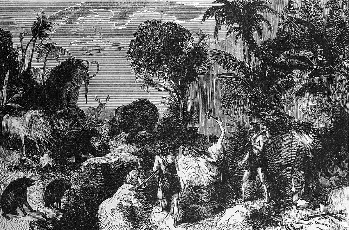 'Prehistoric Policies' research project secures British Academy funding ...