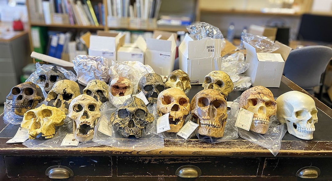 Human remains are the subject of a postgraduate short-course in Orkney this week, with students travelling from across the UK and USA to take part.
#archaeology #postgraduate #studyarchaeology #ThinkUHI

https://archaeologyorkney.com/2025/12/04/hr-short-course/
