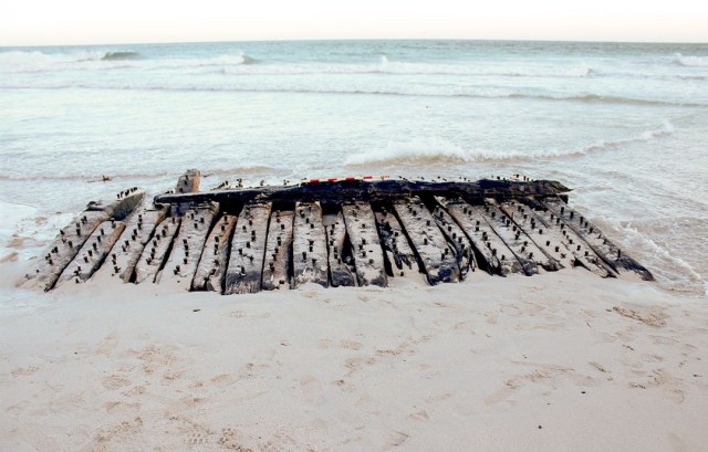 The discovery and excavation of an 18th century wreck in #Sanday is in the running for Current Archaeology’s 2026 Rescue Project of the Year, with voting now open to the public.
#archaeology #history #orkney

https://archaeologyorkney.com/2025/12/08/vote-now-sanday-wreck/