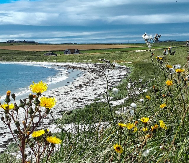 The UHI Archaeology Institute is looking for a post-doctoral researcher to record and analyse the human remains from a Pictish/Norse cemetery in Orkney.

https://archaeologyorkney.com/2026/02/16/newark-researcher/