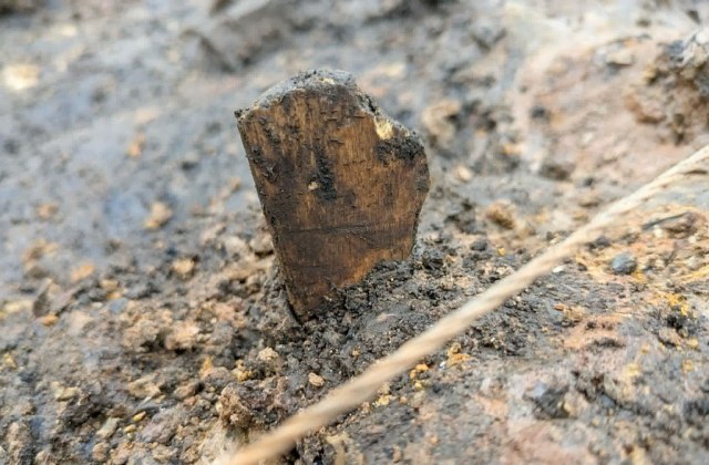 One of the enigmatic finds - a worked stone or antler object - from the end of week three at The Cairns. The latest update from site director Martin Carruthers is now online at archaeologyorkney.com