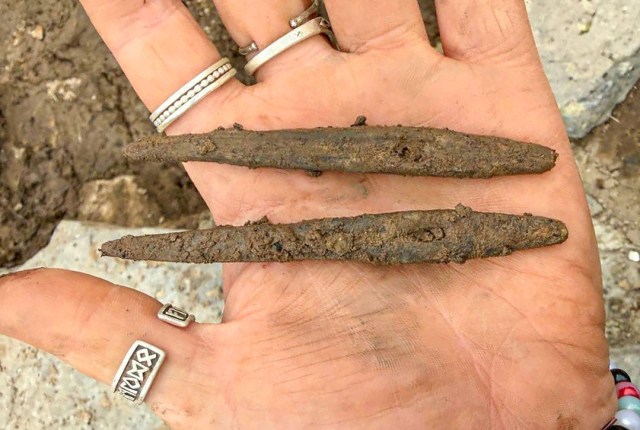 Two large bone needles unearthed at The Cairns, South Ronaldsay, Orkney, today. More details in today's diary at archaeologyorkney.com. (📷 Holly Young)